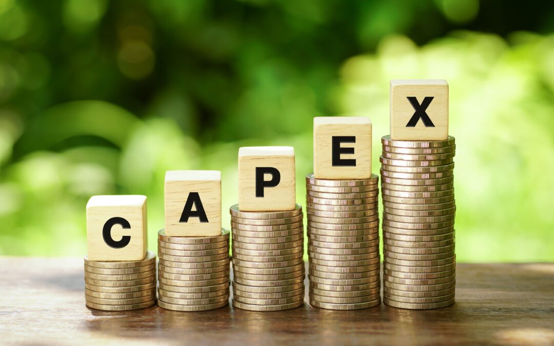 Private Sector Investment Slowdown: Addressing the Capex Drop