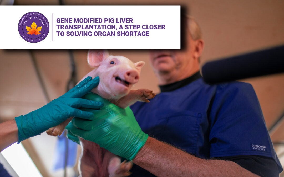Gene Modified Pig Liver Transplantation, A Step Closer to Solving Organ Shortage
