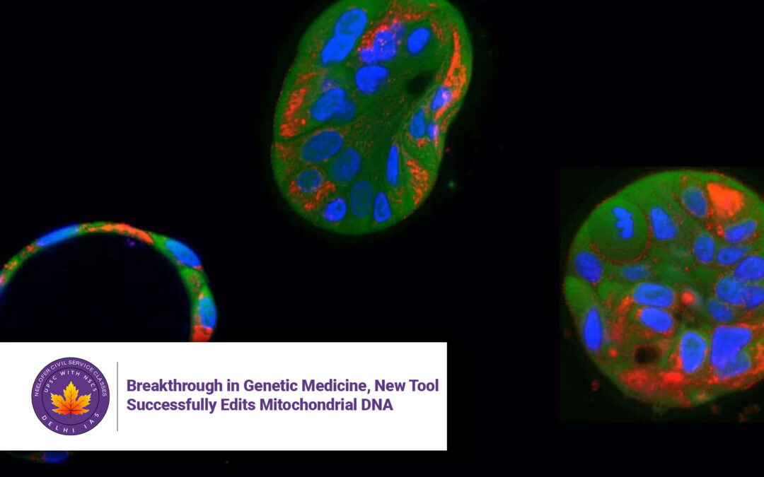 Breakthrough in Genetic Medicine, New Tool Successfully Edits Mitochondrial DNA