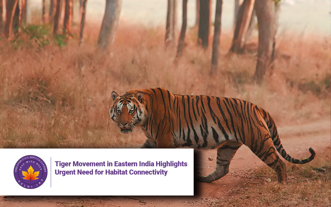 Tiger Movement in Eastern India Highlights Urgent Need for Habitat Connectivity