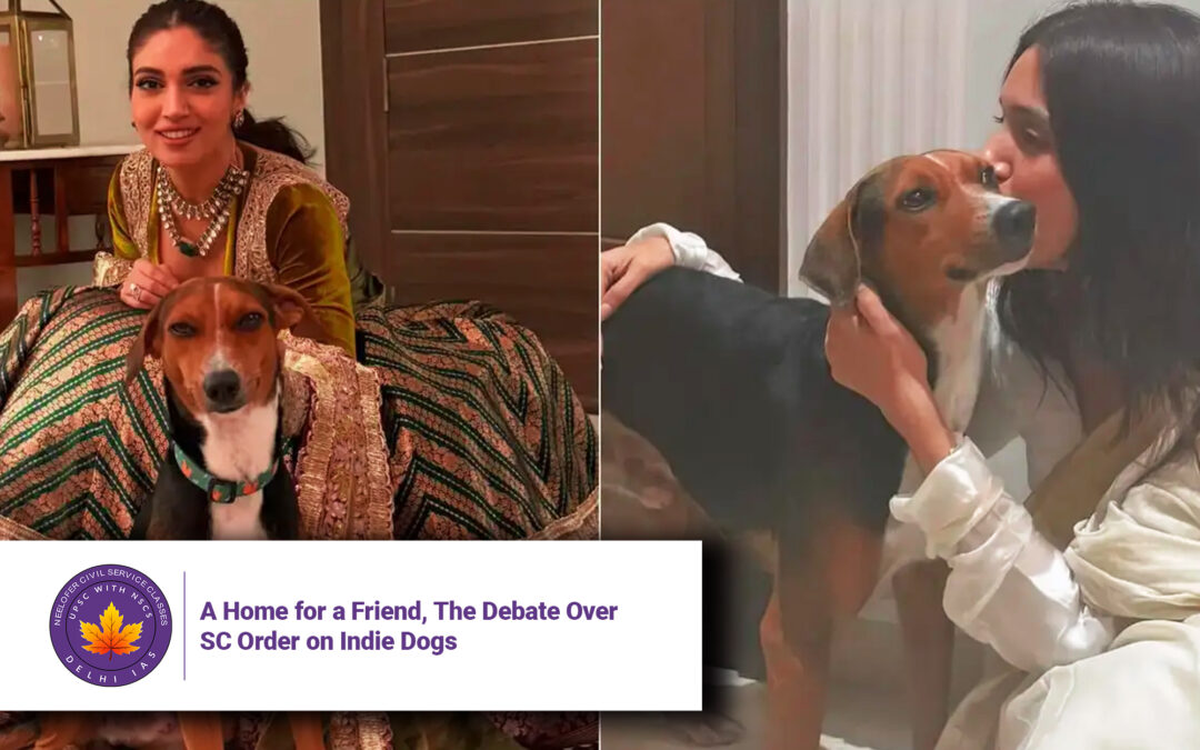 A Home for a Friend, The Debate Over SC Order on Indie Dogs