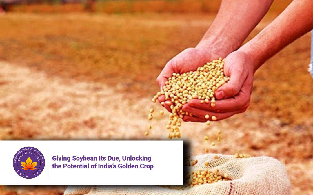 Giving Soybean Its Due, Unlocking the Potential of India’s Golden Crop