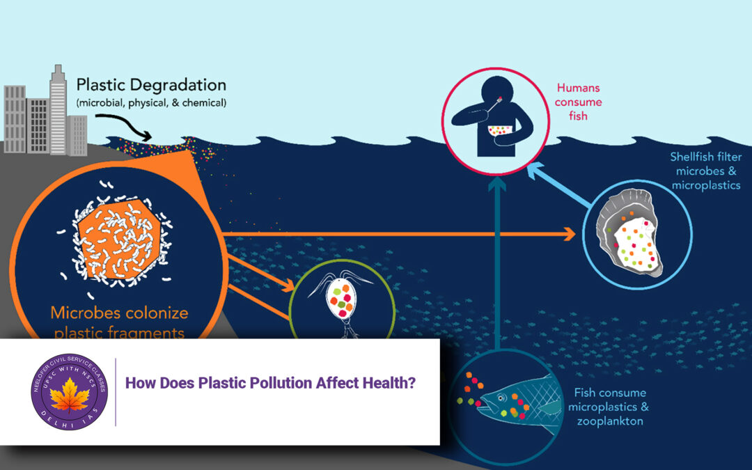 How Does Plastic Pollution Affect Health?