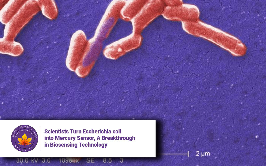 Scientists Turn Escherichia coli into Mercury Sensor, A Breakthrough in Biosensing Technology